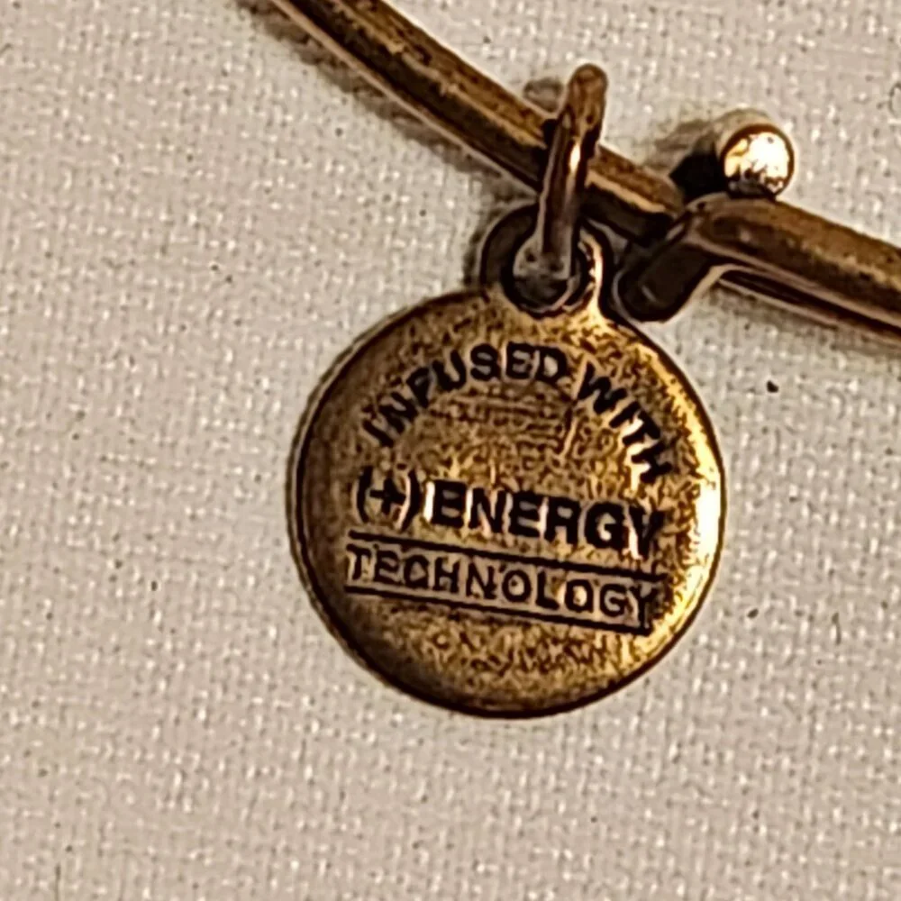 Alex and Ani Las Vegas Poker Chip Charm Gold Tone Energy Bangle Rafaelian Gold - Picture 7 of 8